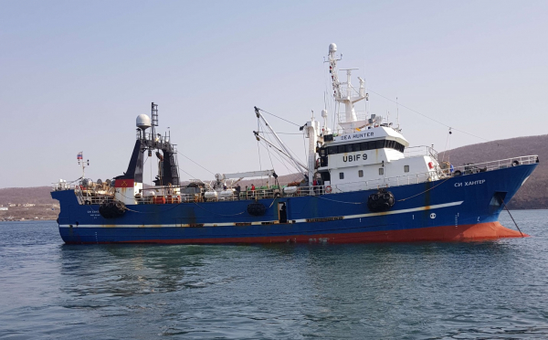 Учёными Магаданского филиала ВНИРО начались исследования прибрежного минтая и тихоокеанской сельди в северной части Охотского моря