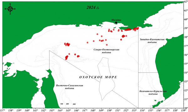 Сотрудниками Магаданского филиала ВНИРО завершены исследования прибрежного тралового промысла минтая и тихоокеанской сельди в Притауйском и Ионо-Кашеваровском районах Охотского моря