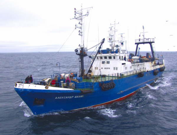 Учёными Магаданского филиала ВНИРО проводятся исследования брюхоногих моллюсков (трубачей) в северной части Охотского моря