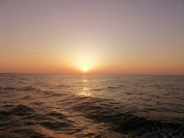 Учёные Магаданского филиала ФГБНУ «ВНИРО» завершили мониторинговые работы на промысле трубачей в Охотском море