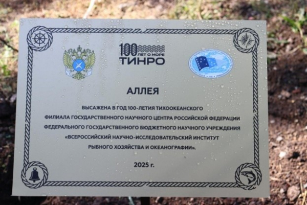 Памятная кленовая аллея появилась в сквере ТИНРО