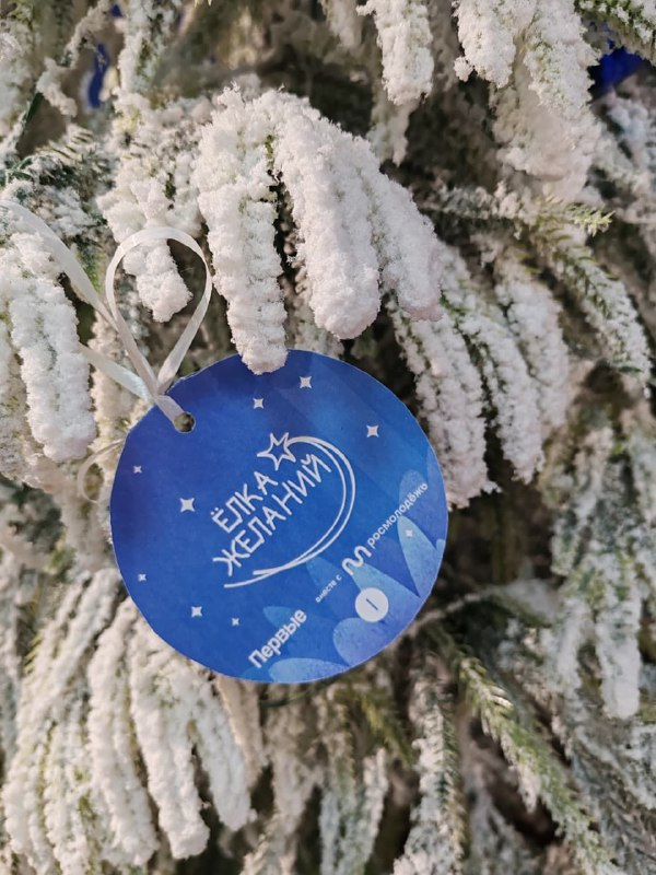 Сотрудники МагаданНИРО поддержали проект &laquo;Ёлка желаний&raquo; и исполнили новогодние мечты