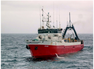 В Охотском море начался мониторинг промысла массовых видов шримсов